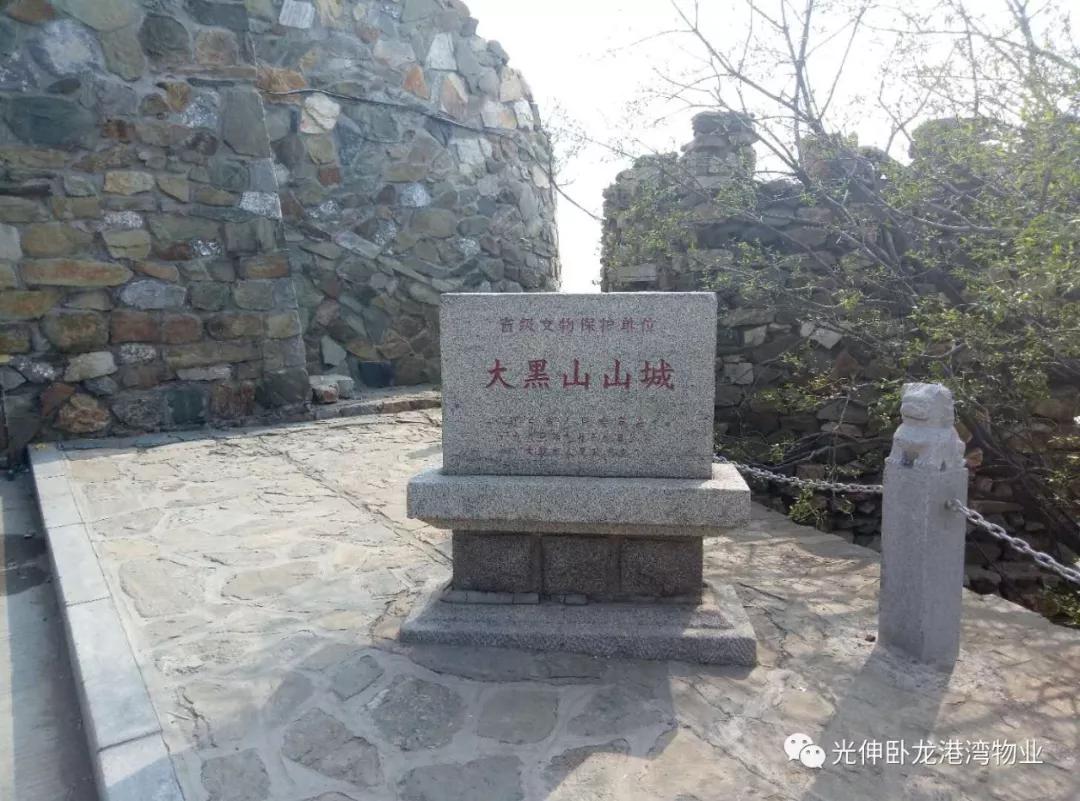 IM体育·(中国)官方网站 - APP下载