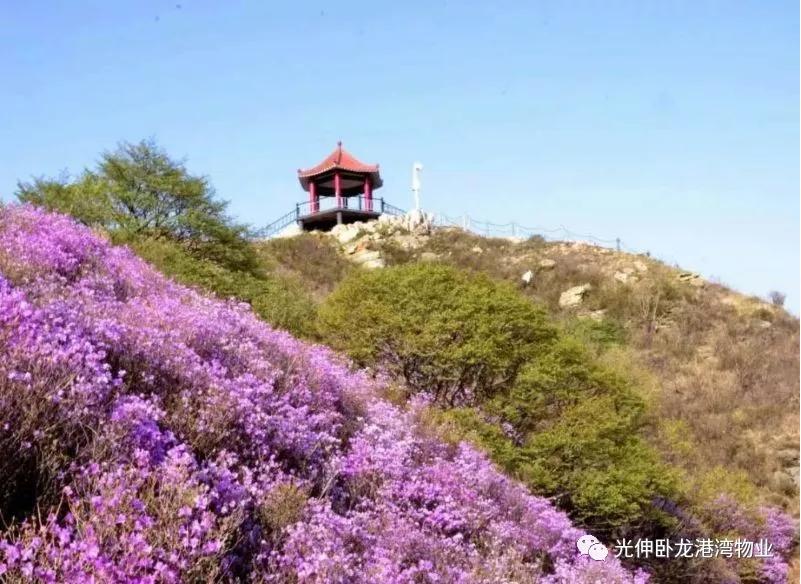 IM体育·(中国)官方网站 - APP下载